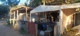 Caravana+ Avance+ caseta cocina  camping la Sureda