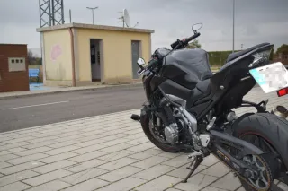 Kawasaki Z900 A2 2018