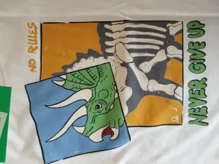 Camiseta Benetton dinosaurio triceratops 2-3 años