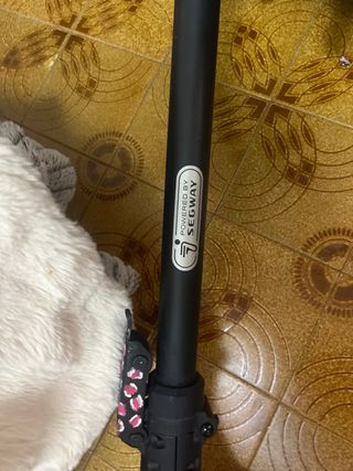 Patinete eléctrico Ninebot E2 Pro