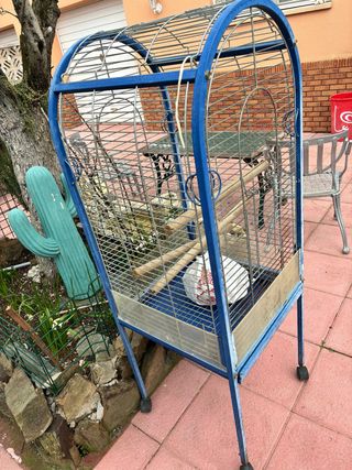 Jaula grande para loro / aves grandes