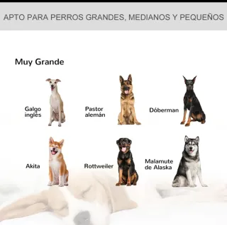 Jaula Perros Grande Negra