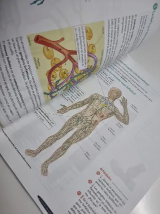 Biología y Geología, 3 ESO, Geniox