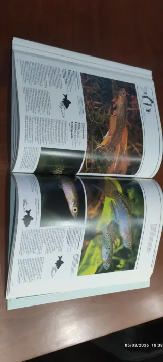 Peces de Acuario - G.P.I. - (Spanish Edition)