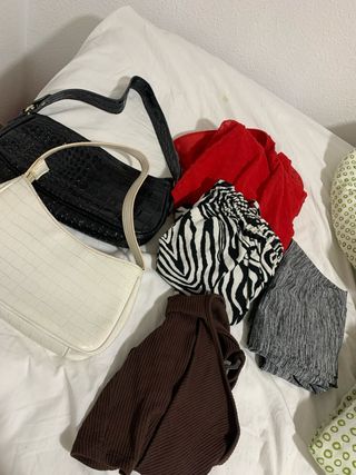 Lote Ropa y Bolsos