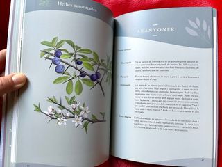 Medicina en femení: De les remeieres medievals ...