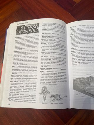 NOVO DICCIONARIO DA LINGUA GALEGA GALLEGO OBRAD...