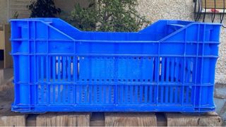 Cajas de plástico para fruta