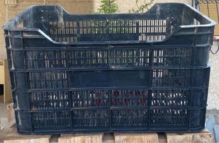 Cajas de plástico para fruta