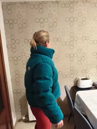 Anorak iconico de The North Face de tienda Hacoo