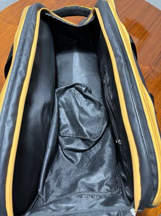 Paletero Starvie + Pala Nox