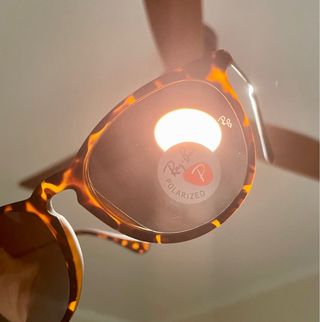 Gafas de sol Erika Marrón