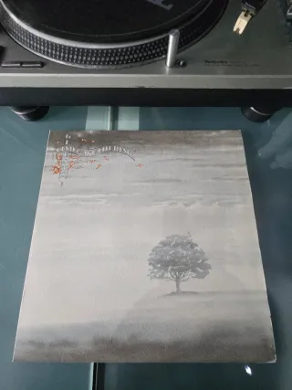 Vinilo Genesis - Wind & Wuthering