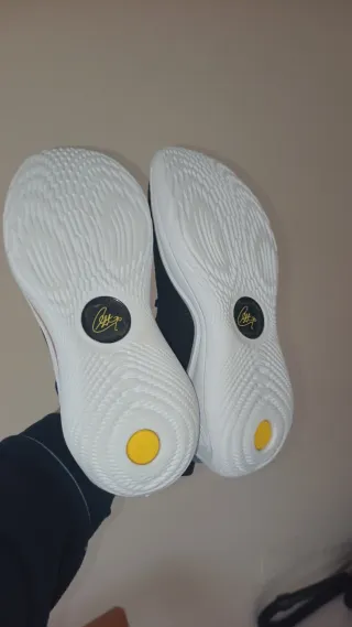 Zapatillas Curry 12 Dub Nation