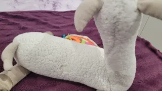 Peluche Alpaca Fisher Price