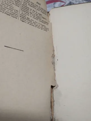 Piccolo dizionario della lingua italiana