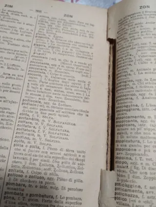 Piccolo dizionario della lingua italiana