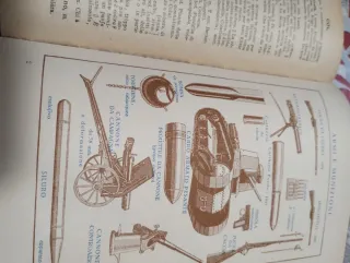 Piccolo dizionario della lingua italiana