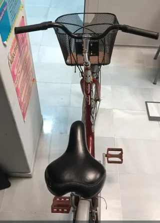 Bicicleta de paseo para adulto