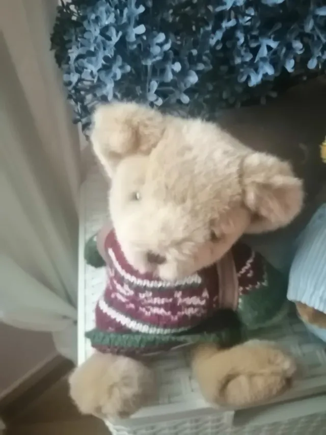 Pareja de Ositos de Peluche