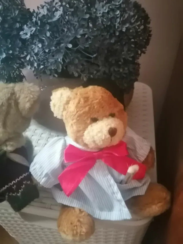 Pareja de Ositos de Peluche