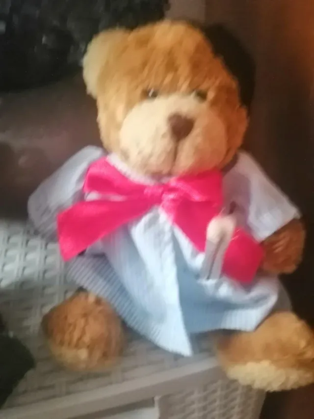 Pareja de Ositos de Peluche