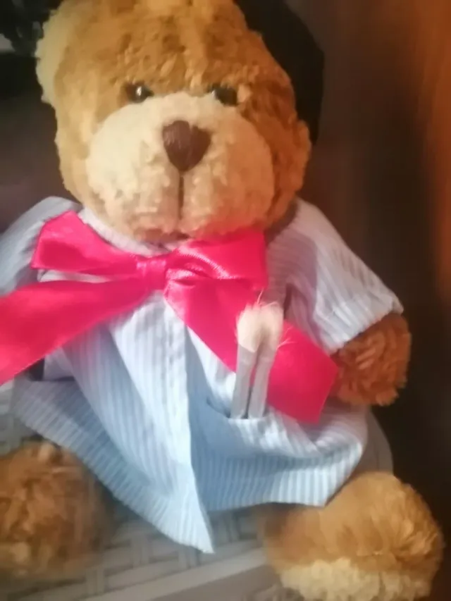 Pareja de Ositos de Peluche