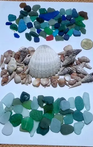 Lotto piastrelle vetrine e conchiglie