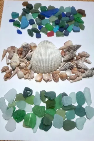 Lotto piastrelle vetrine e conchiglie