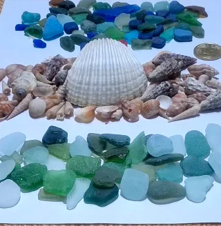 Lotto piastrelle vetrine e conchiglie