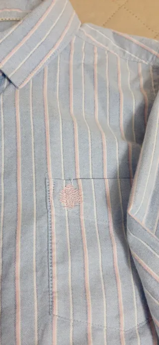 Camisa de rayas azul