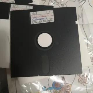 15 floppy usati 5.25'' con custodia