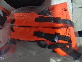 Arnés profesional ANOVA con protección lumbar