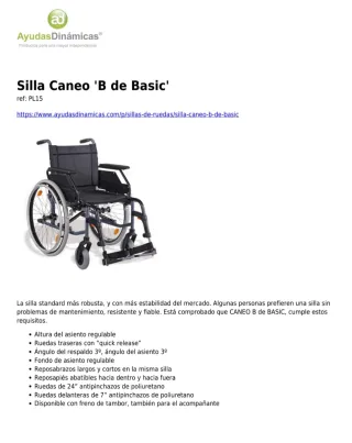 Silla de ruedas plegable Caneo Basic