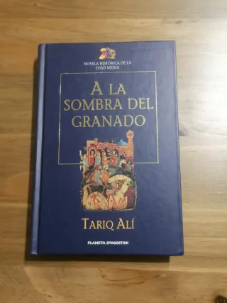 Novela histórica de la edad media