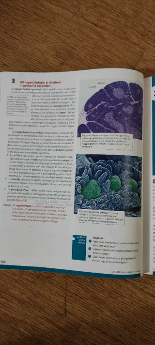 La nuova biologia.blu