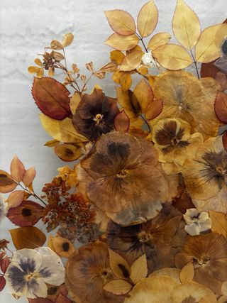 Cuadro de flores secas