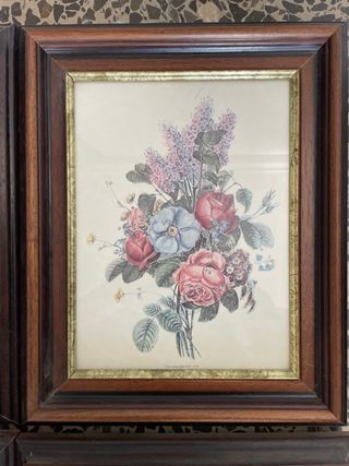 Pack 4 Cuadros Flores Vintage