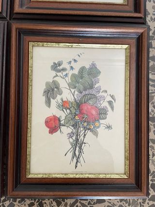 Pack 4 Cuadros Flores Vintage