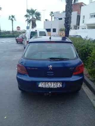 Peugeot 307 2006