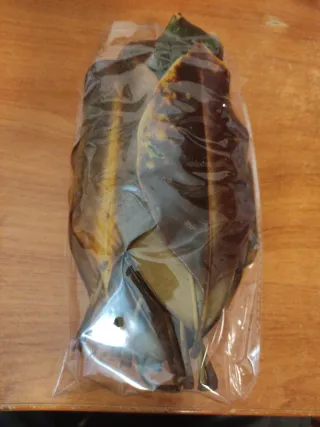 Hojas, ramas de magnolio :  acuario,terrario...