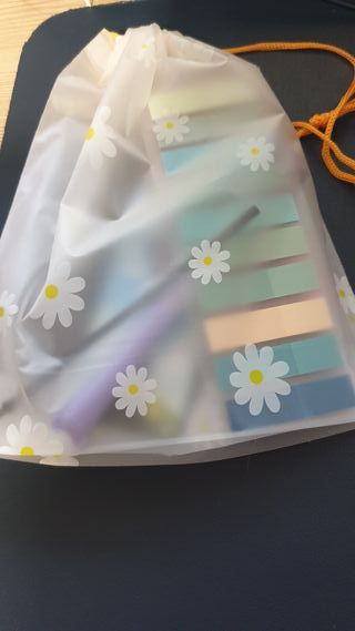 The Black Witch Chronicles + freebie