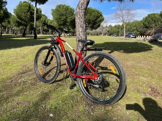 Bicicleta eléctrica E-Motorad T-Rex