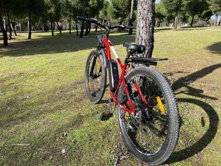 Bicicleta eléctrica E-Motorad T-Rex