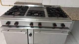 Cocina profesional industrial