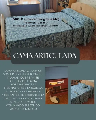 Cama Articulada Tecnimóem
