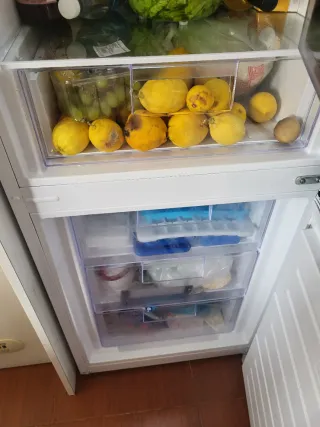 Nevera Fagor casi nueva