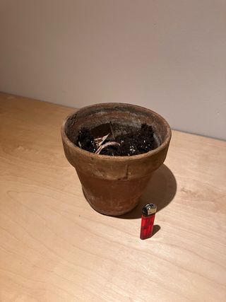 Maceta de terracota