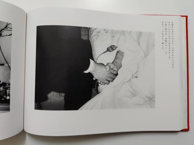 Nobuyoshi Araki - Sentimental and Winter Journey