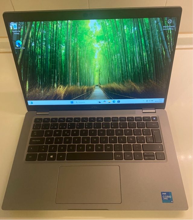 Portátil Dell Latitude 5420 16GB RAM